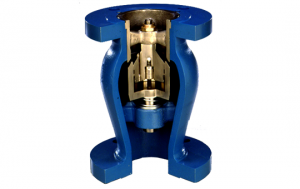 check valve