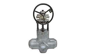 Coking Valve