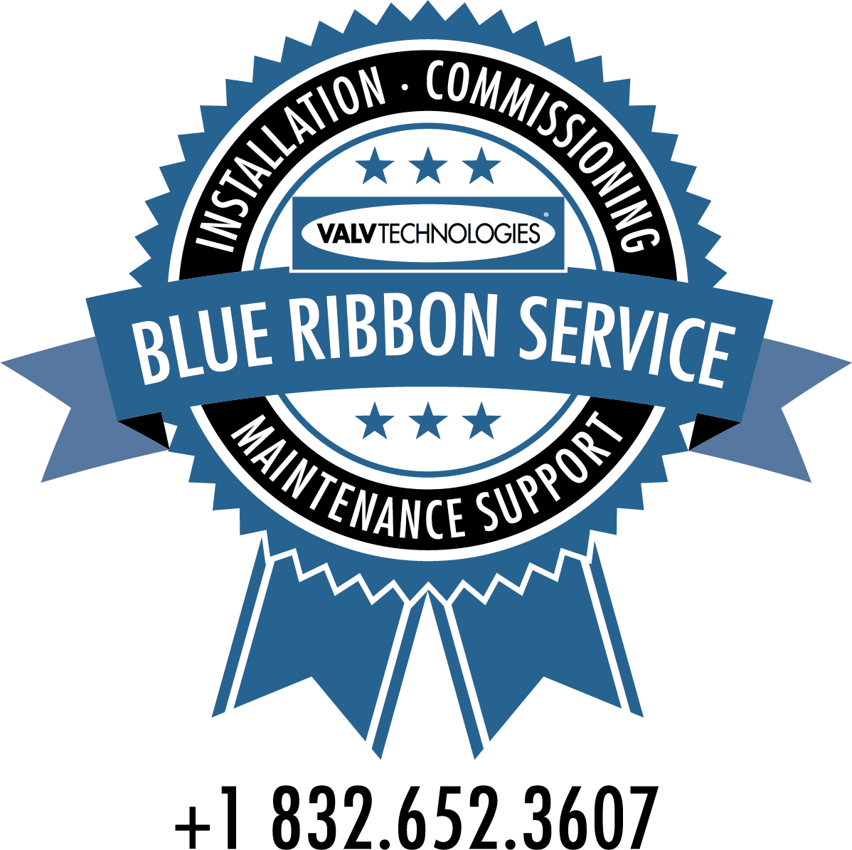 Blue Ribbon Service onsite support between shipment and operation