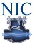 NIC Logo