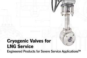 Cyrogenic Valves for LNG Service