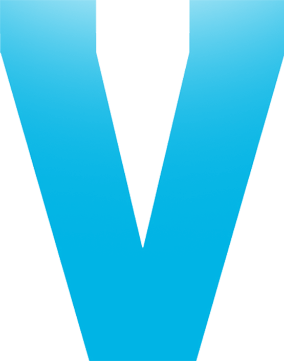 Valv Logo Motif