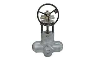 Valv - Parallel Slide Gate Valve (2023)